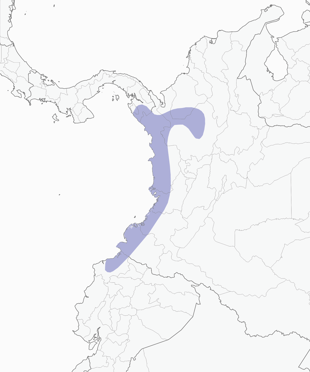 Tangara olivâtre, Distribution 1