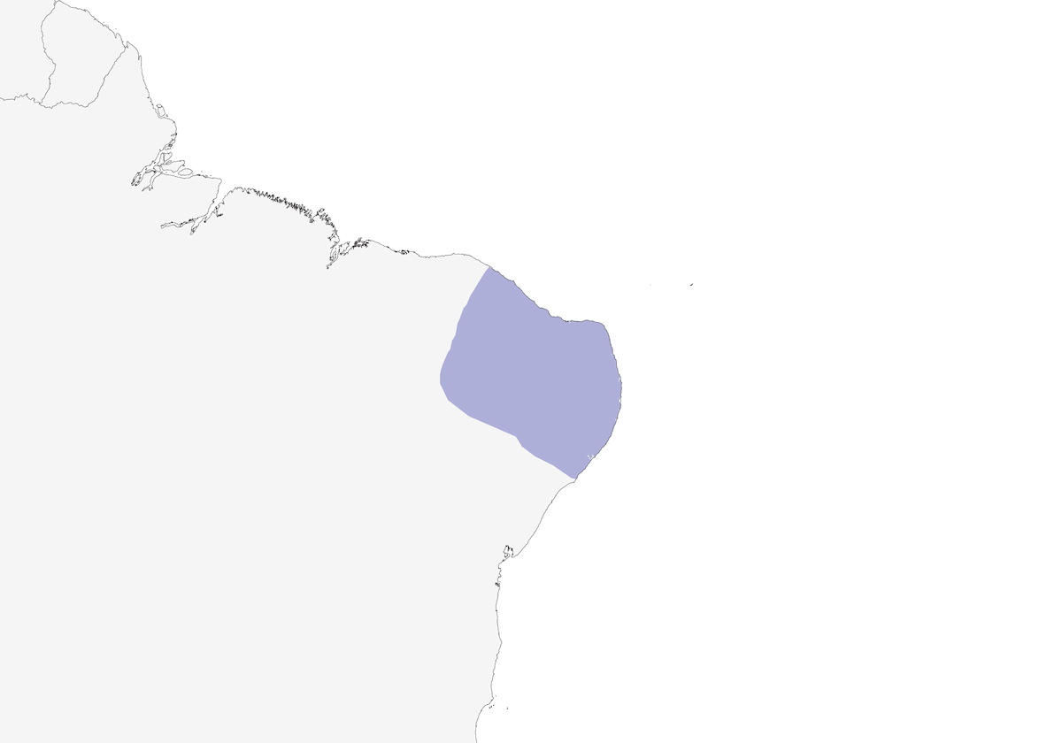 Trepatroncos de Ceará, Distribución 1