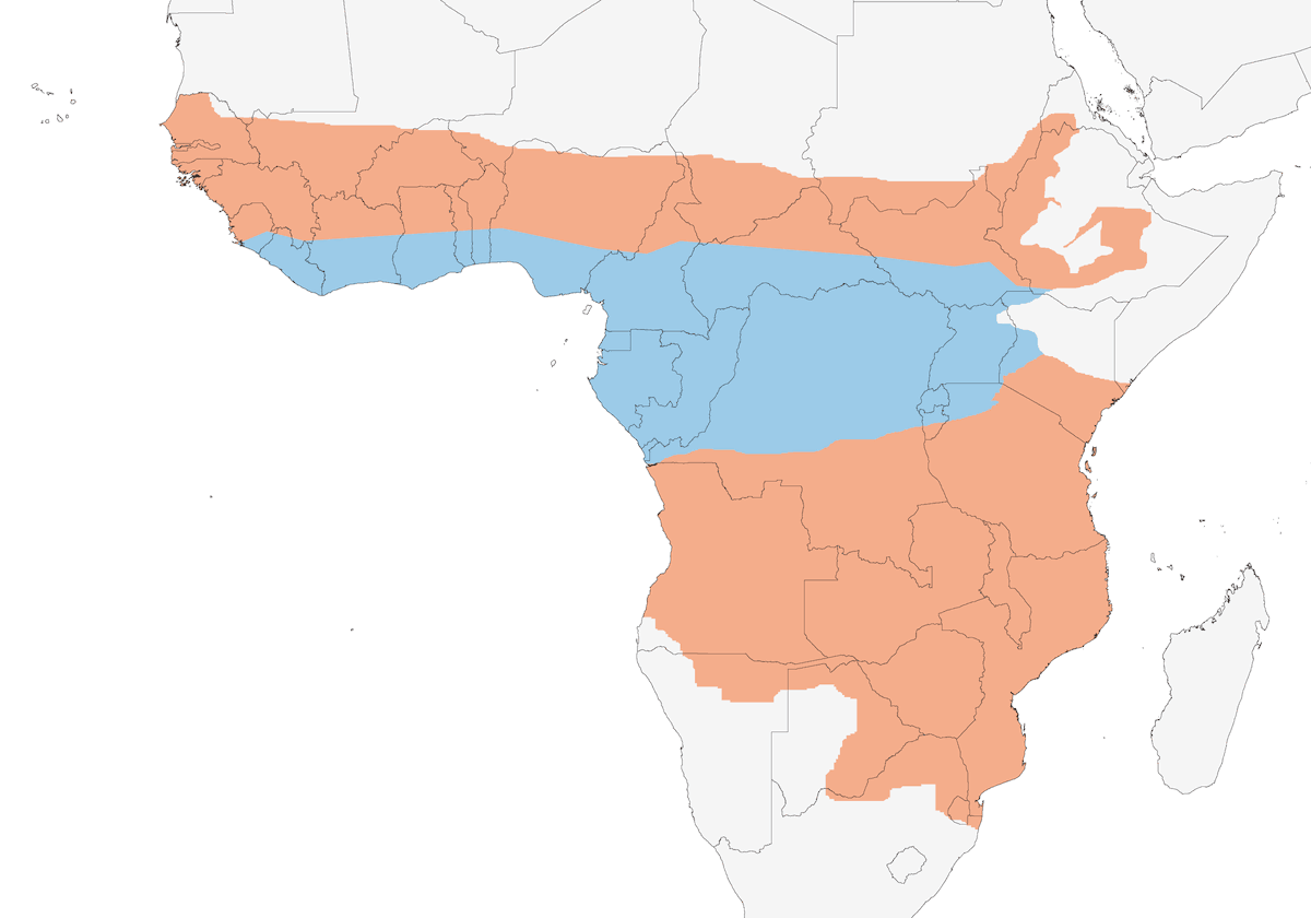 Levaillant's Cuckoo, Distribution 1