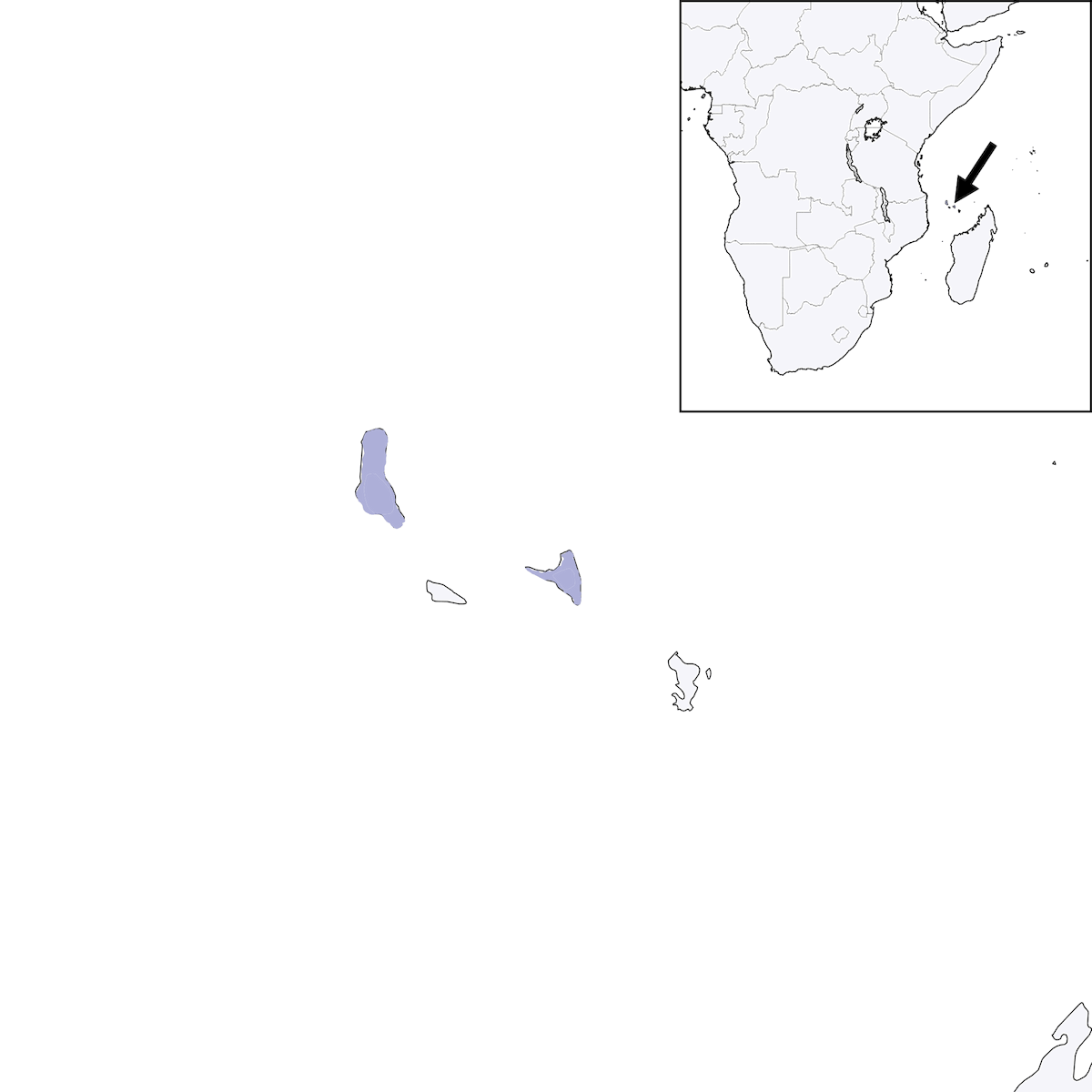 Perroquet noir des Comores, Distribution 1