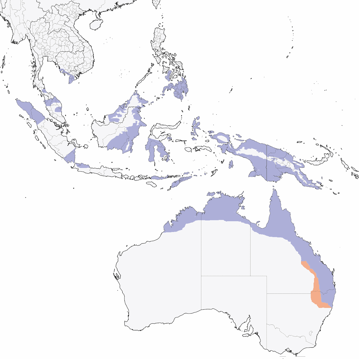 Little Bronze-Cuckoo, Distribution 1