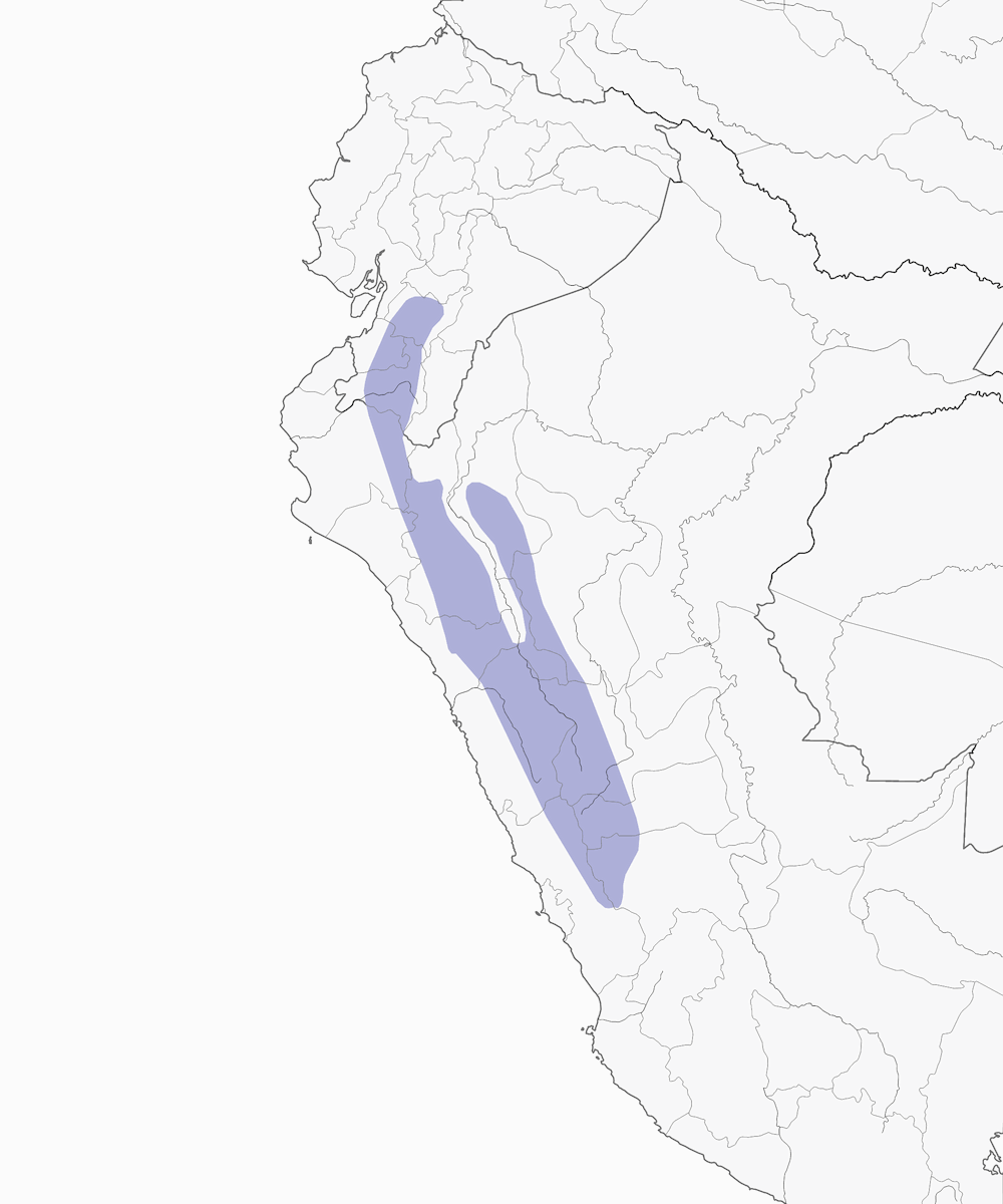 Line-cheeked Spinetail, Distribution 1