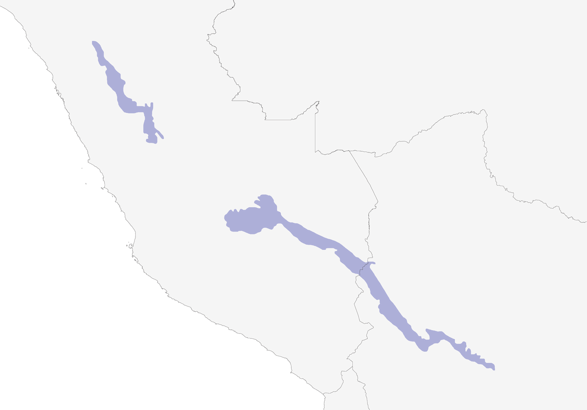 Canastero frentirrayado, Distribución 1