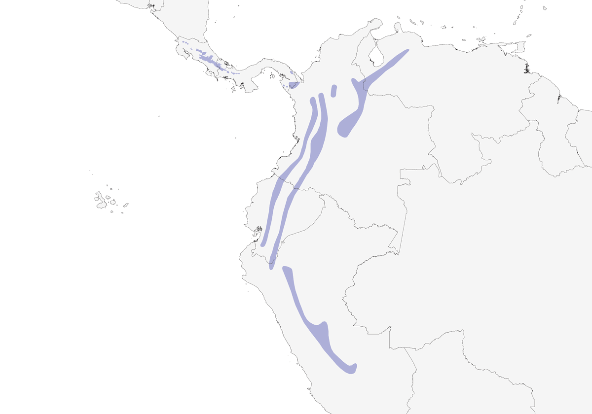 Lineated Foliage-gleaner, Distribution 1