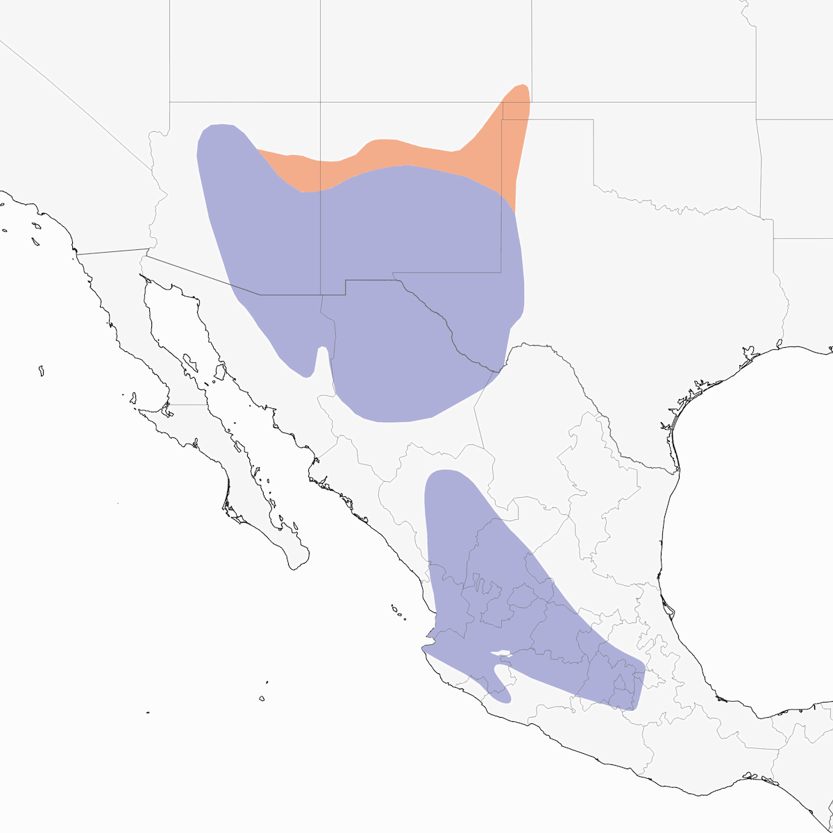 Sturnelle du Chihuahua, Distribution 1