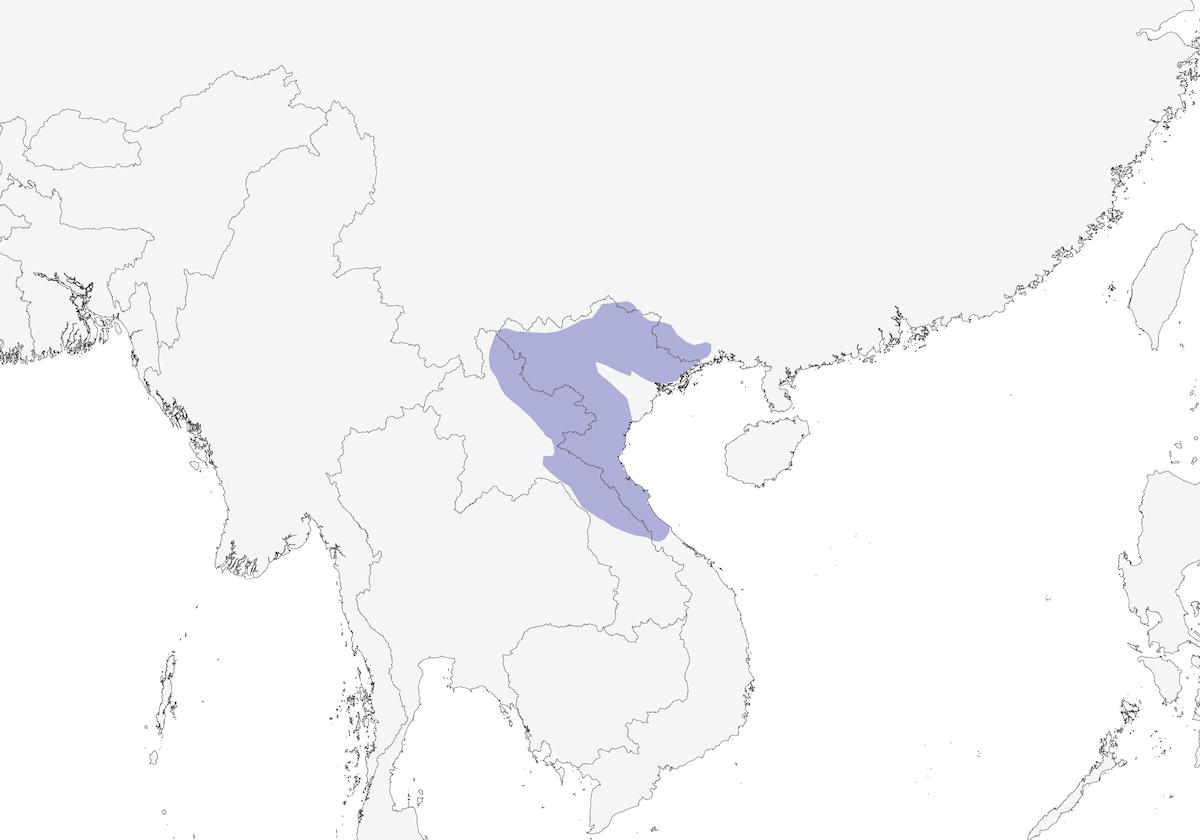 Limestone Leaf Warbler, Distribution 1