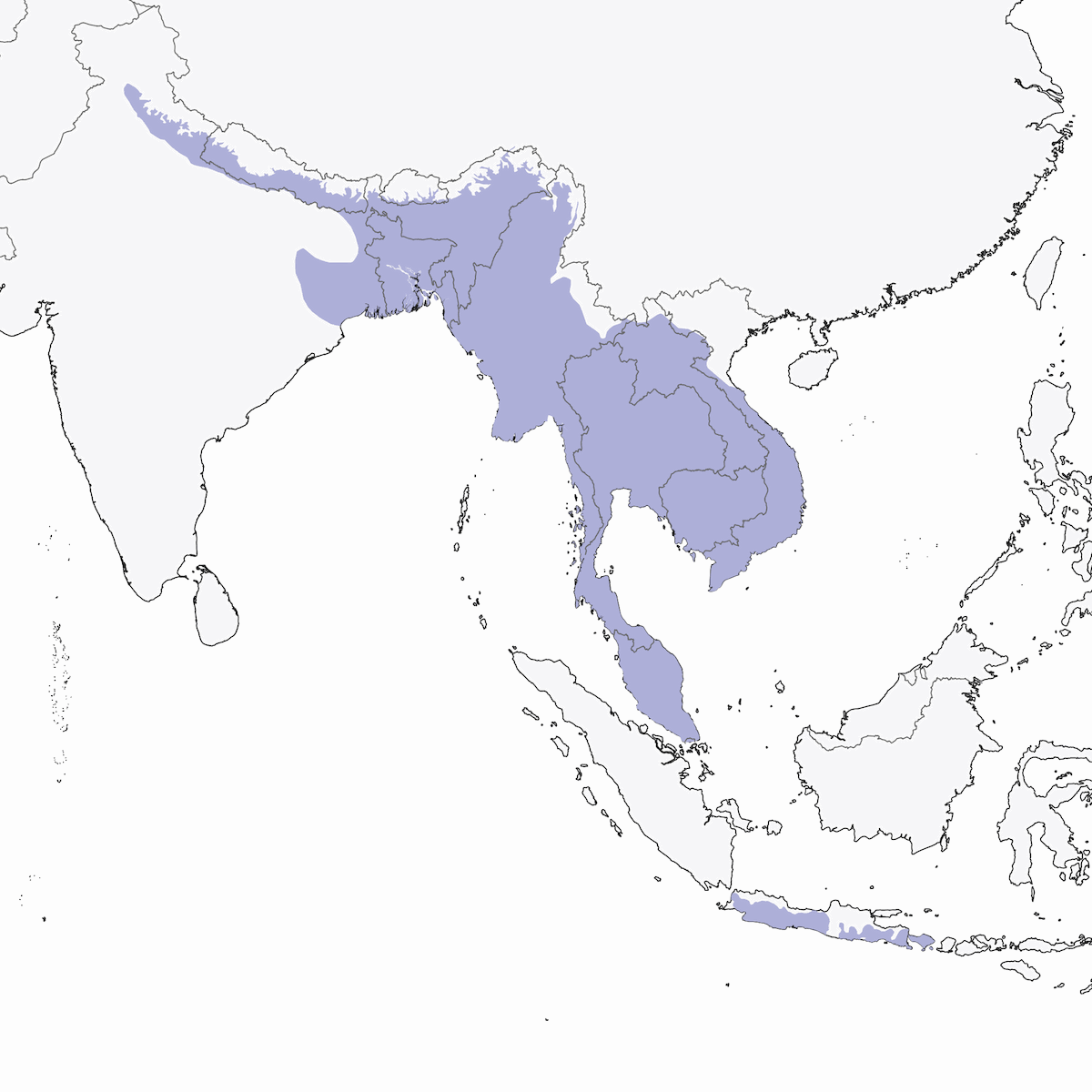 Lineated Barbet, Distribution 1