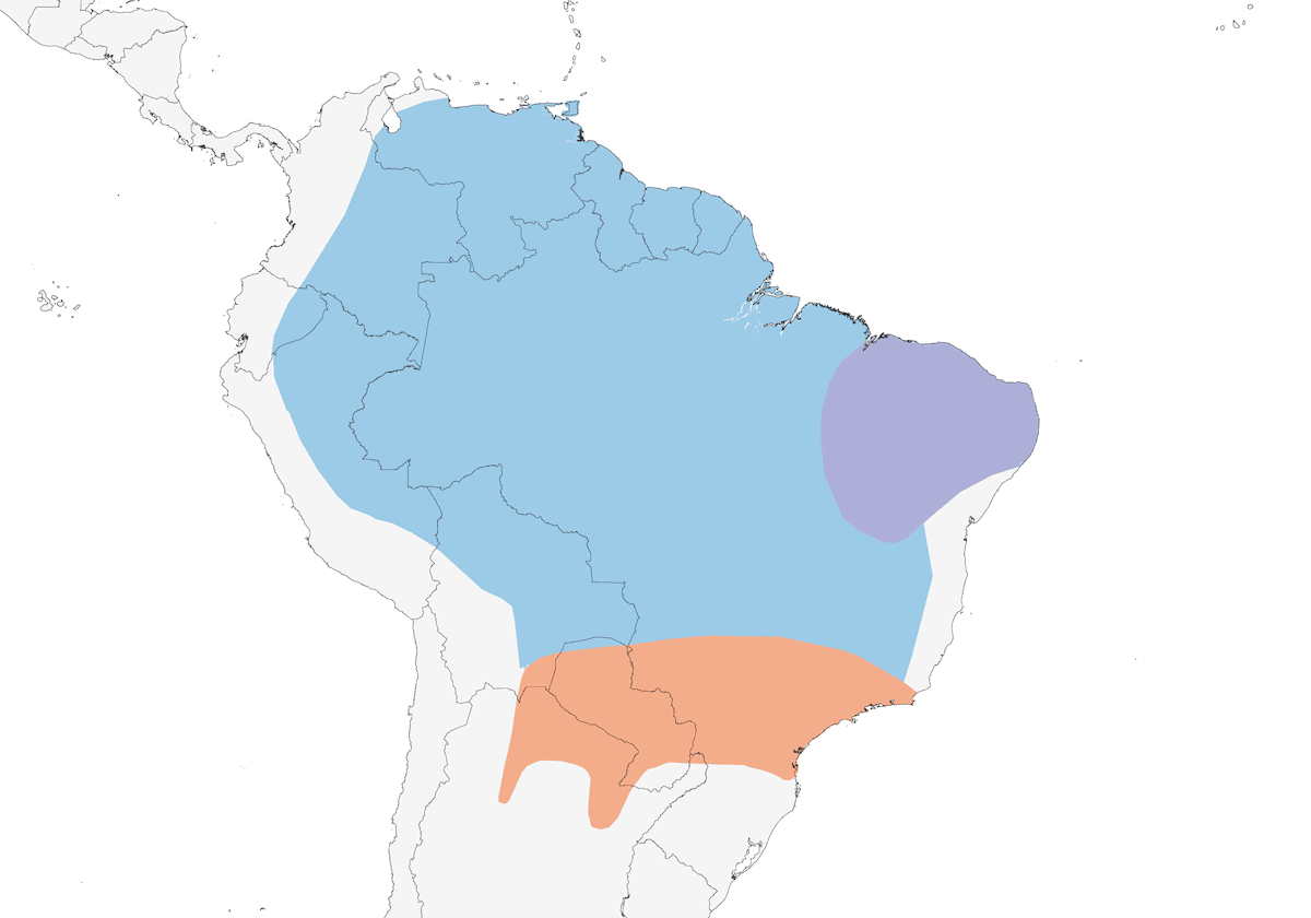 Lined Seedeater, Distribution 1