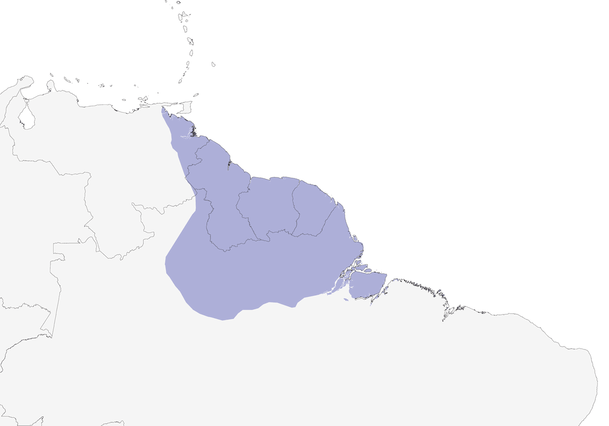 Guayana-Baumsteiger, Verbreitung 1