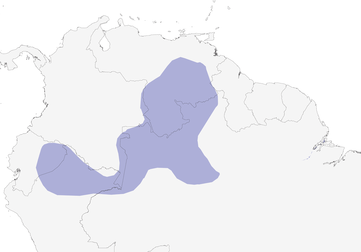 Duida Woodcreeper, Distribution 1