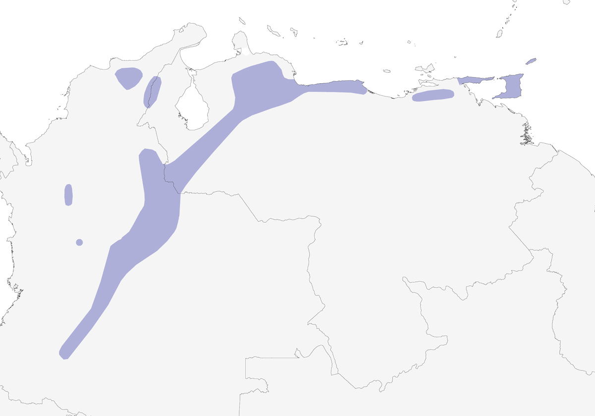 Colombe-perdrix striée, Distribution 1