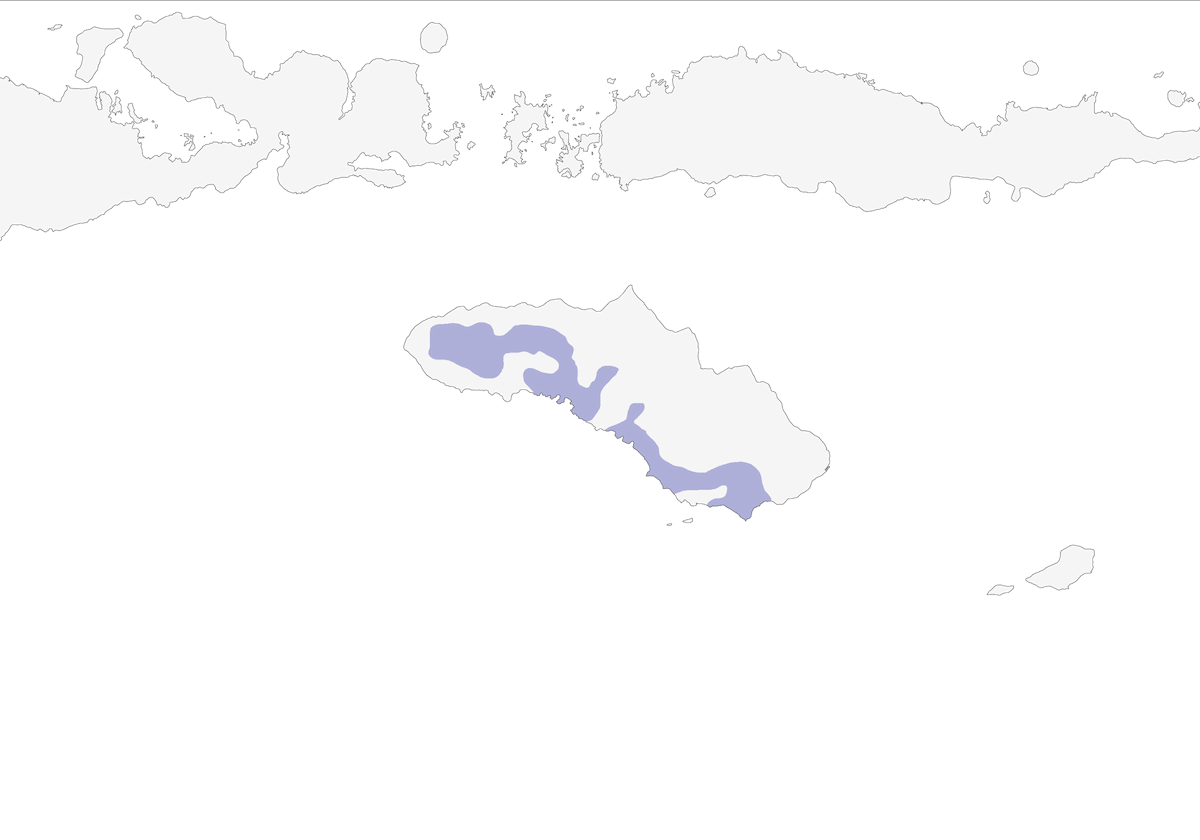 Civetta nana, Distribuzione 1