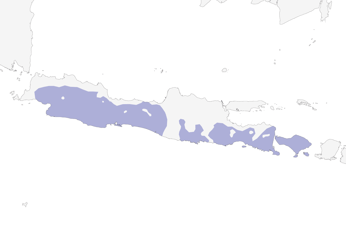 Barbudo Orejigualdo, Distribución 1