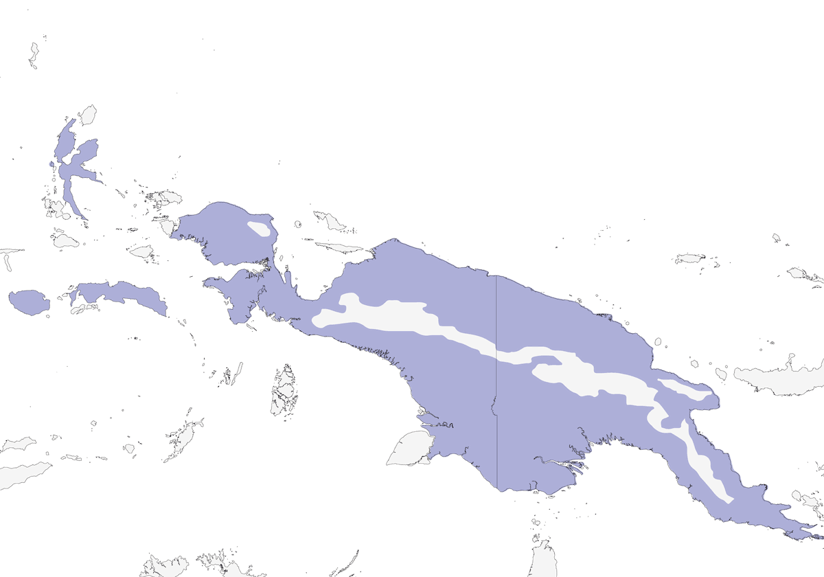 Pygmy Eagle, Distribution 1