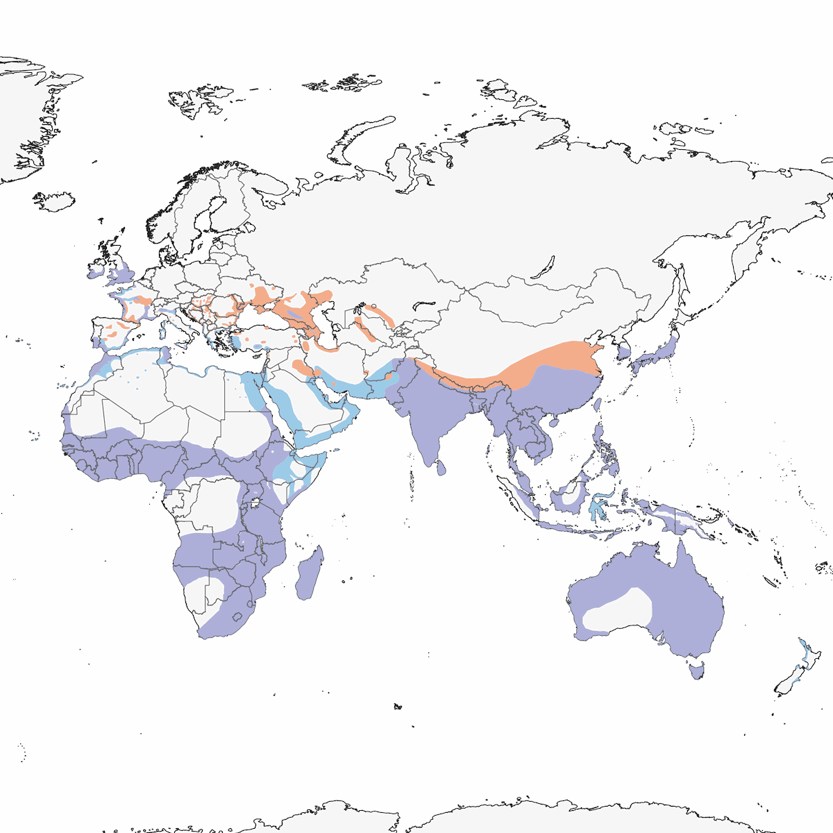 Garzetta, Distribuzione 1