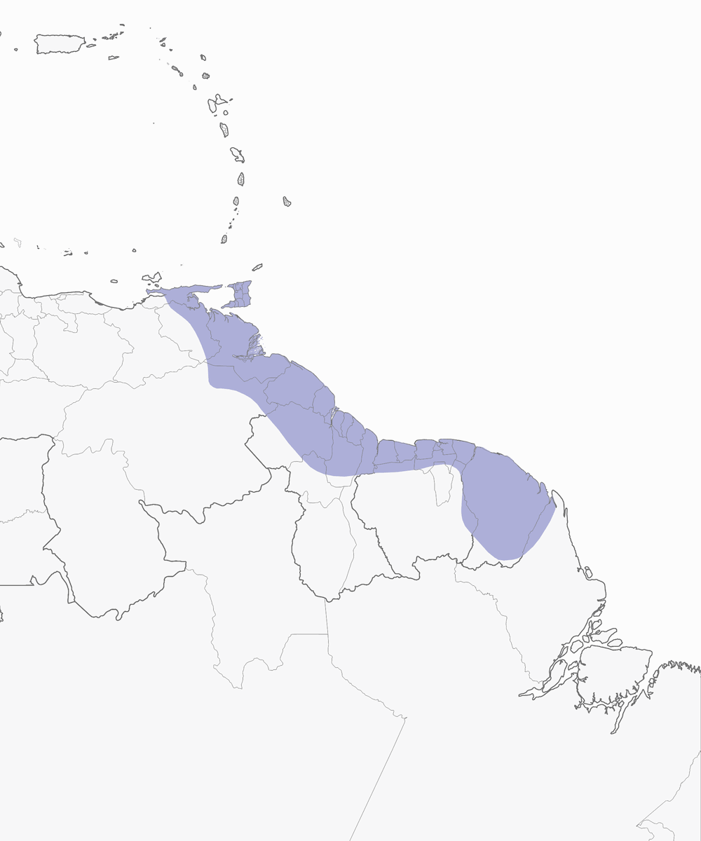 Ermitaño Chico, Distribución 1