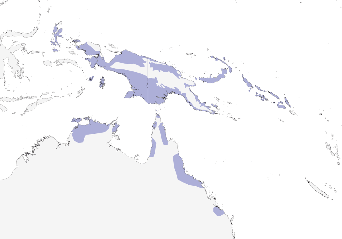 Martín pescador enano, Distribución 1