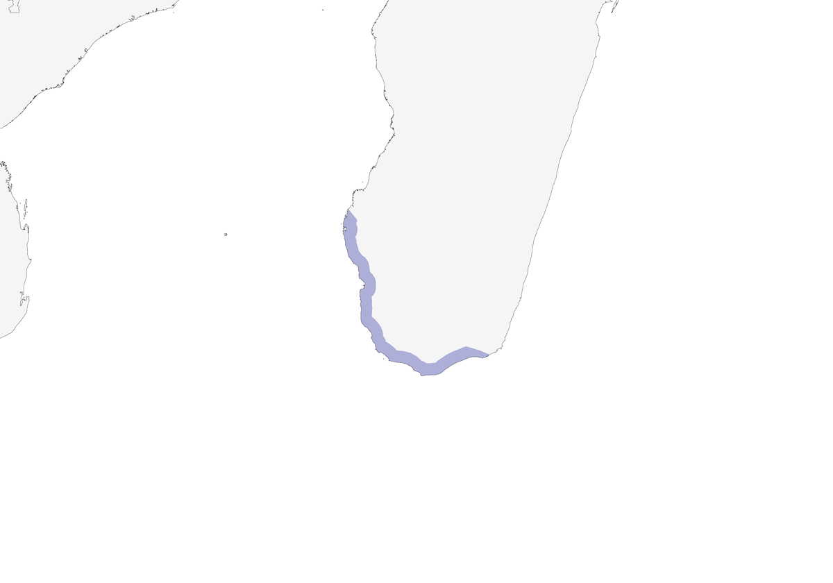 Roquero Litoral, Distribución 1