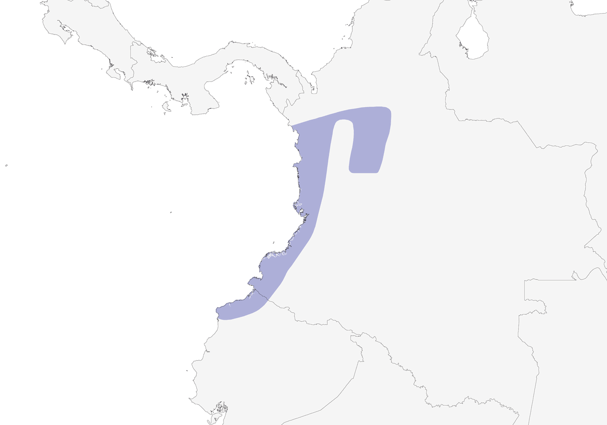 Lita Woodpecker, Distribution 1