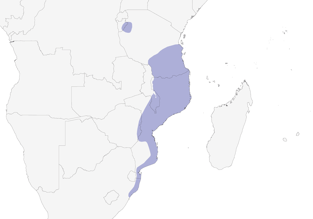 Livingstone's Turaco, Distribution 1