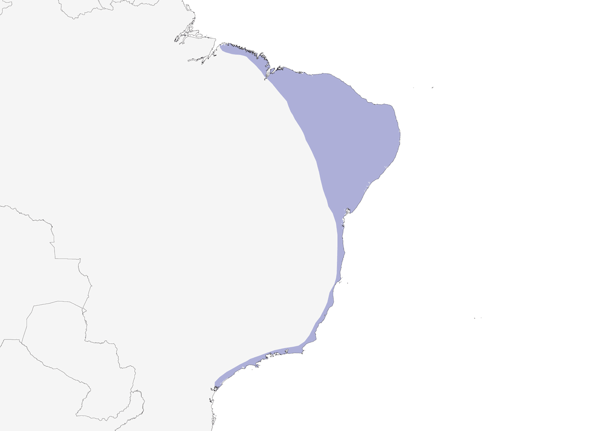 Polluela chica del bosque, Distribución 1
