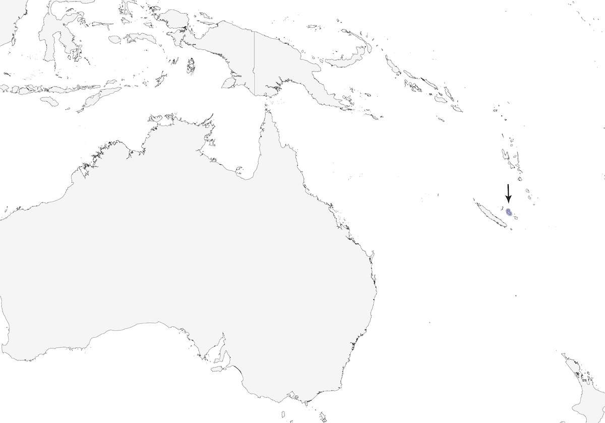 Anteojitos grande de Lifou, Distribución 1