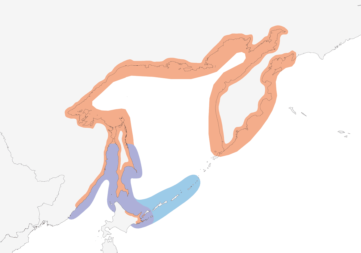 Uria beccolungo, Distribuzione 1