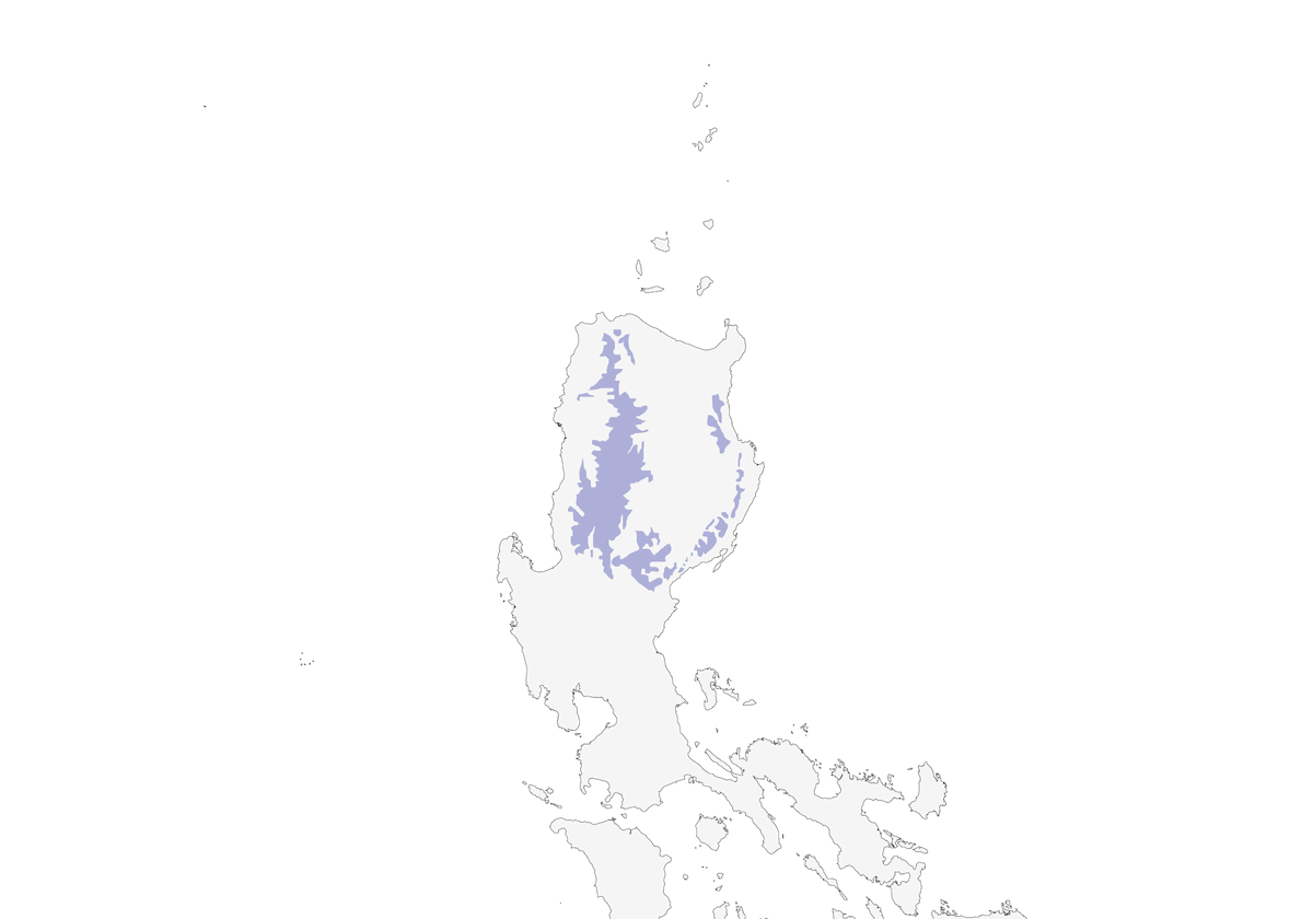 Long-billed Rhabdornis, Distribution 1