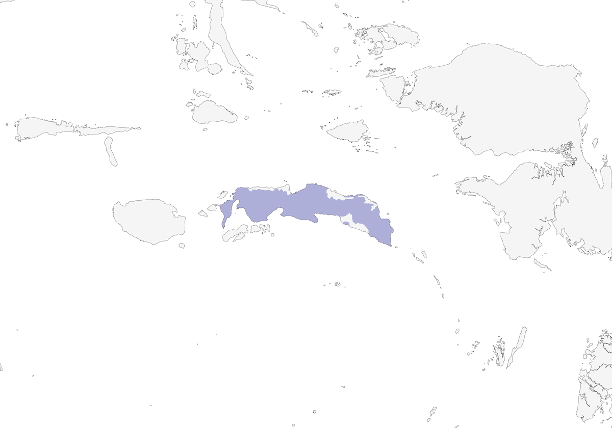 Maina crestata, Distribuzione 1