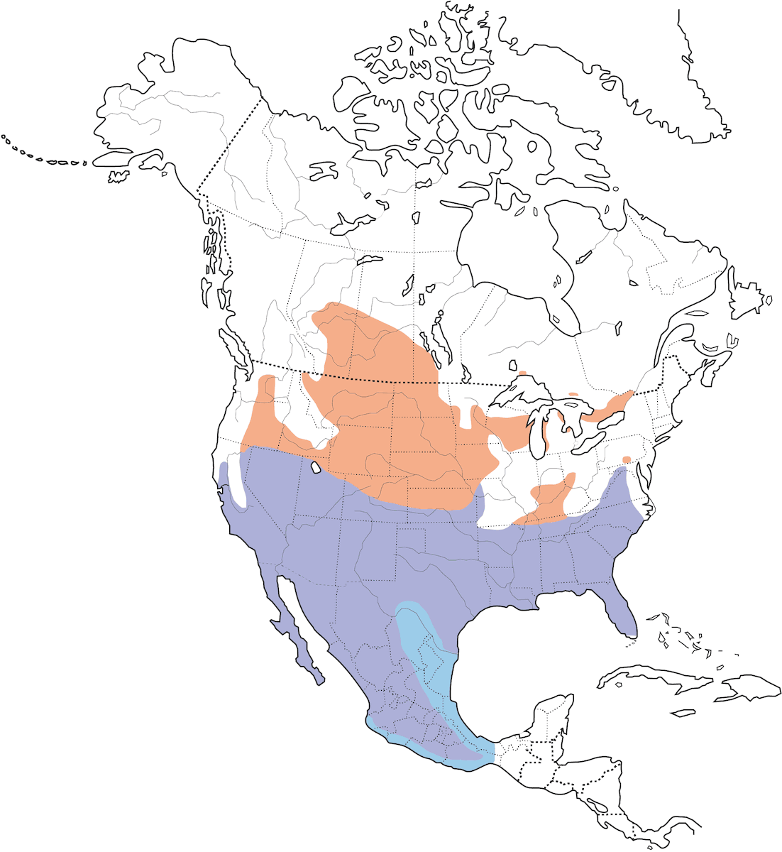 Loggerhead Shrike, Distribution 1