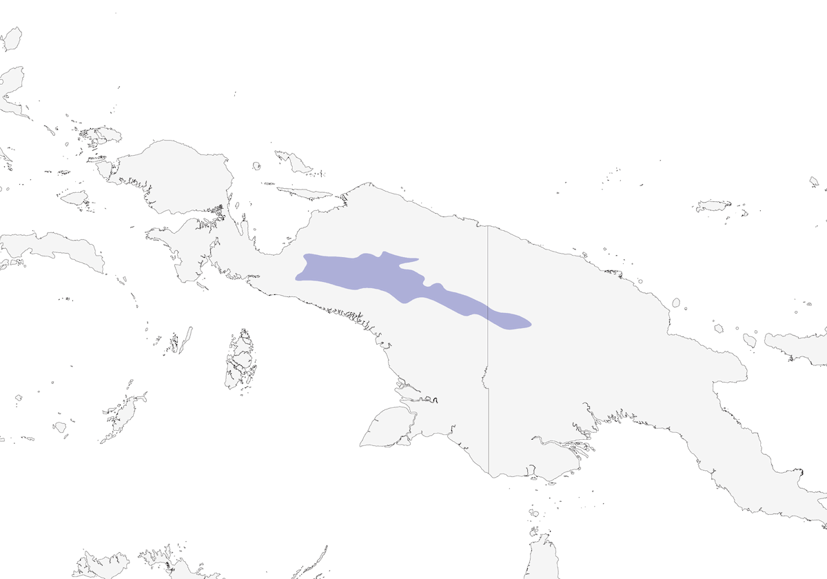 Silbador de Lorentz, Distribución 1