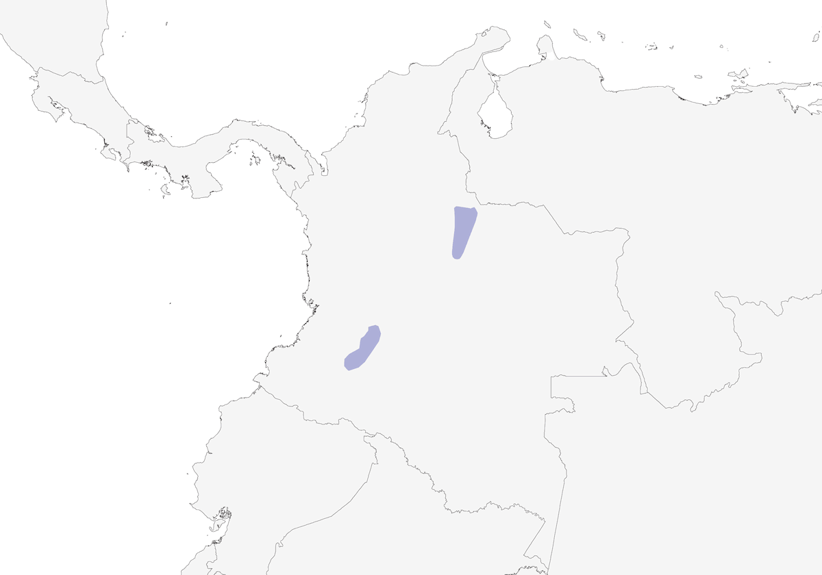 East Andean Antbird, 分布 1