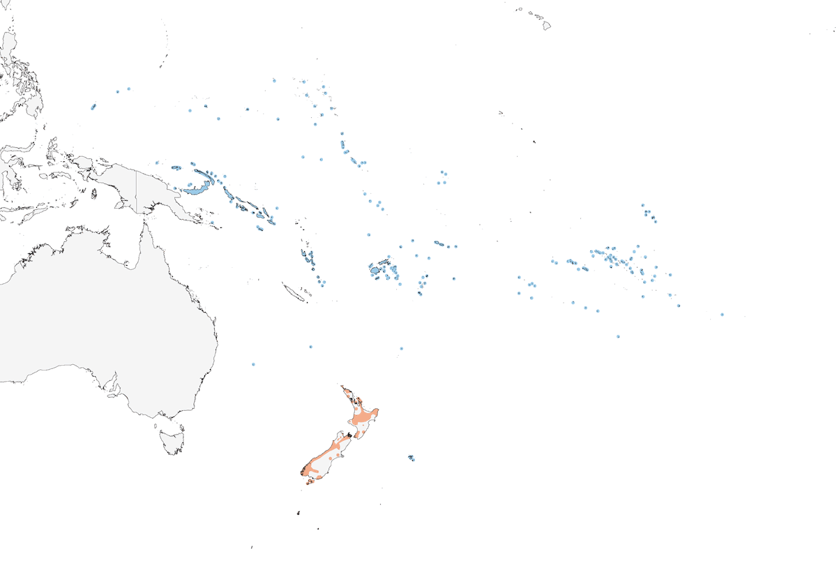 Koel Colilargo, Distribución 1