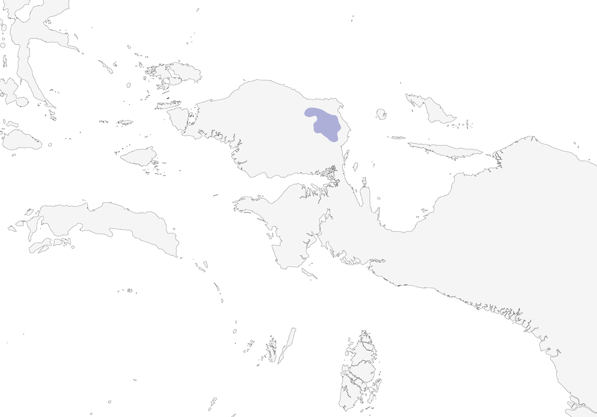 Paradigalla codalunga, Distribuzione 1