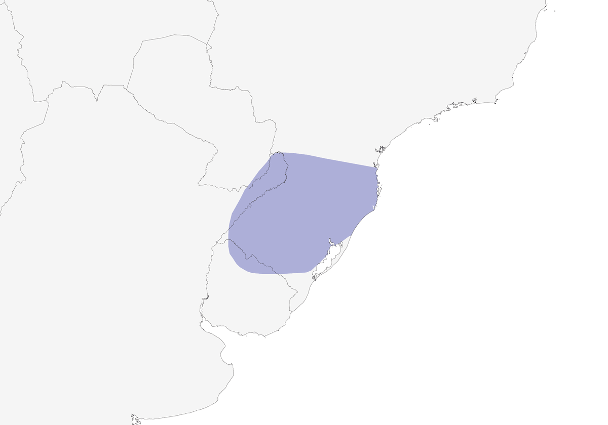Petit-duc du Roraima, Distribution 1