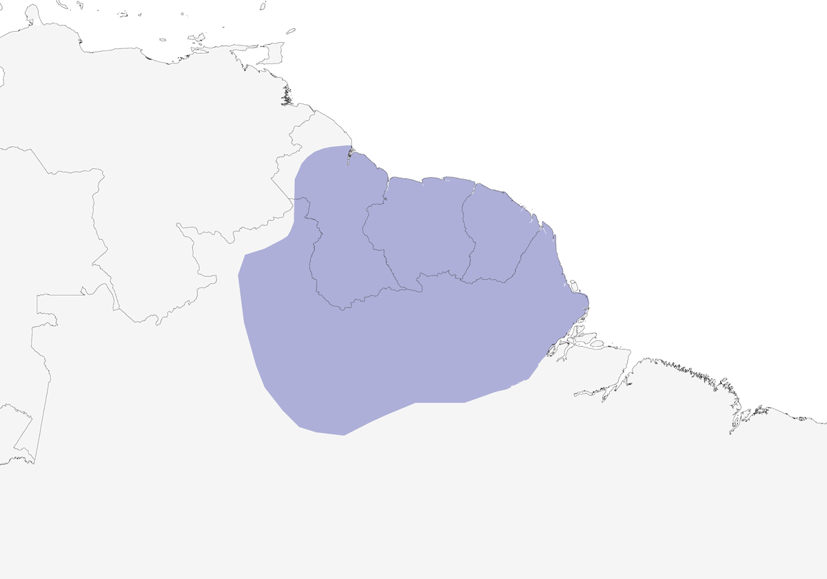 Whistling Woodcreeper, Distribution 1