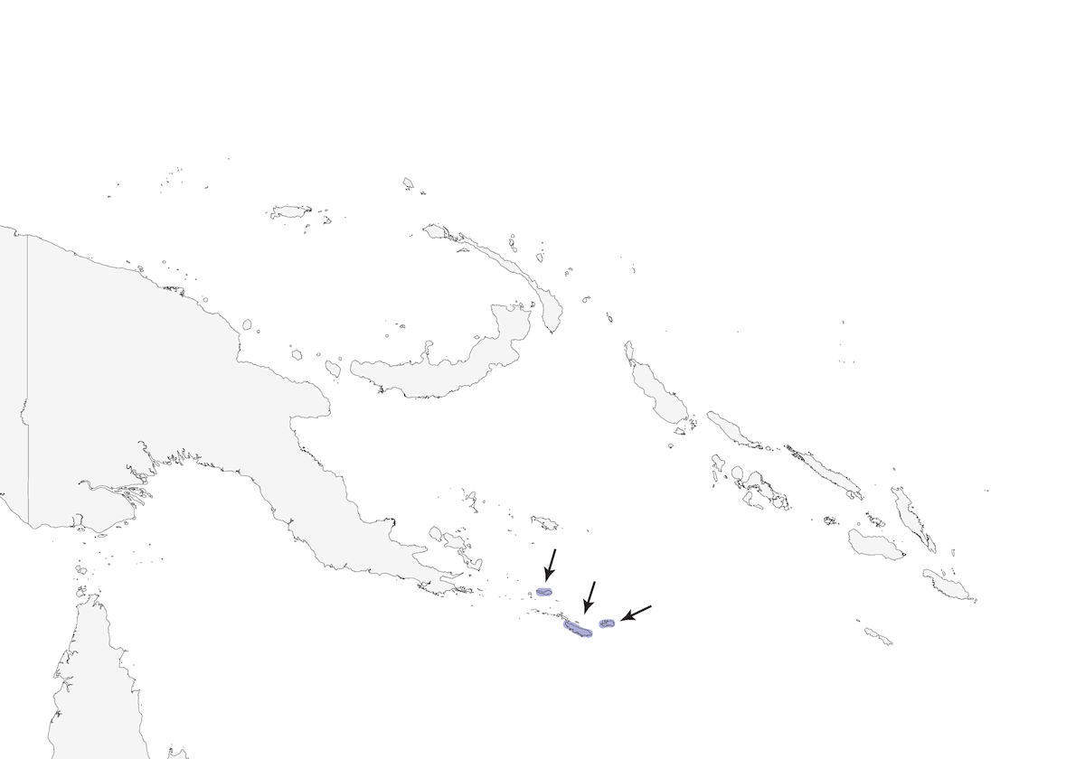 Beccafiori delle Louisiade, Distribuzione 1