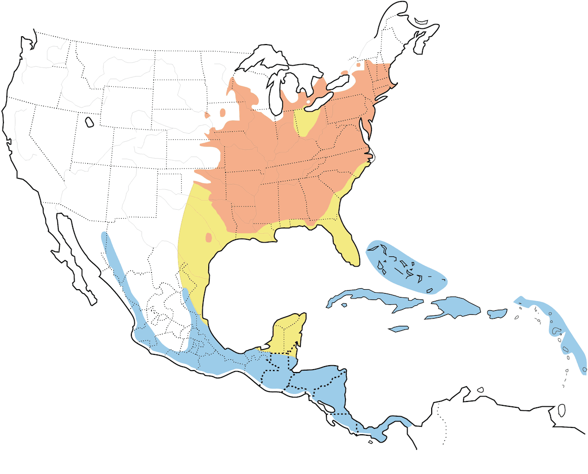 Louisiana-Waldsänger, Verbreitung 1