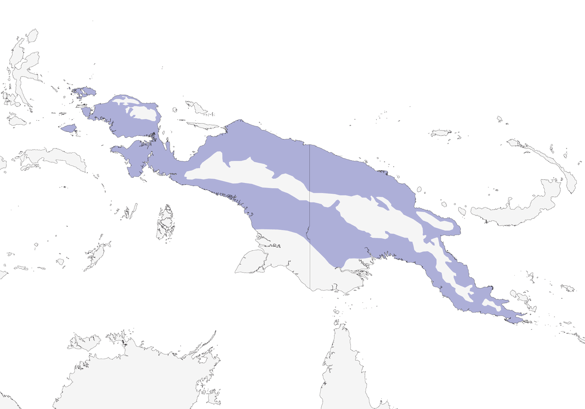 Peltops delle pianure, Distribuzione 1