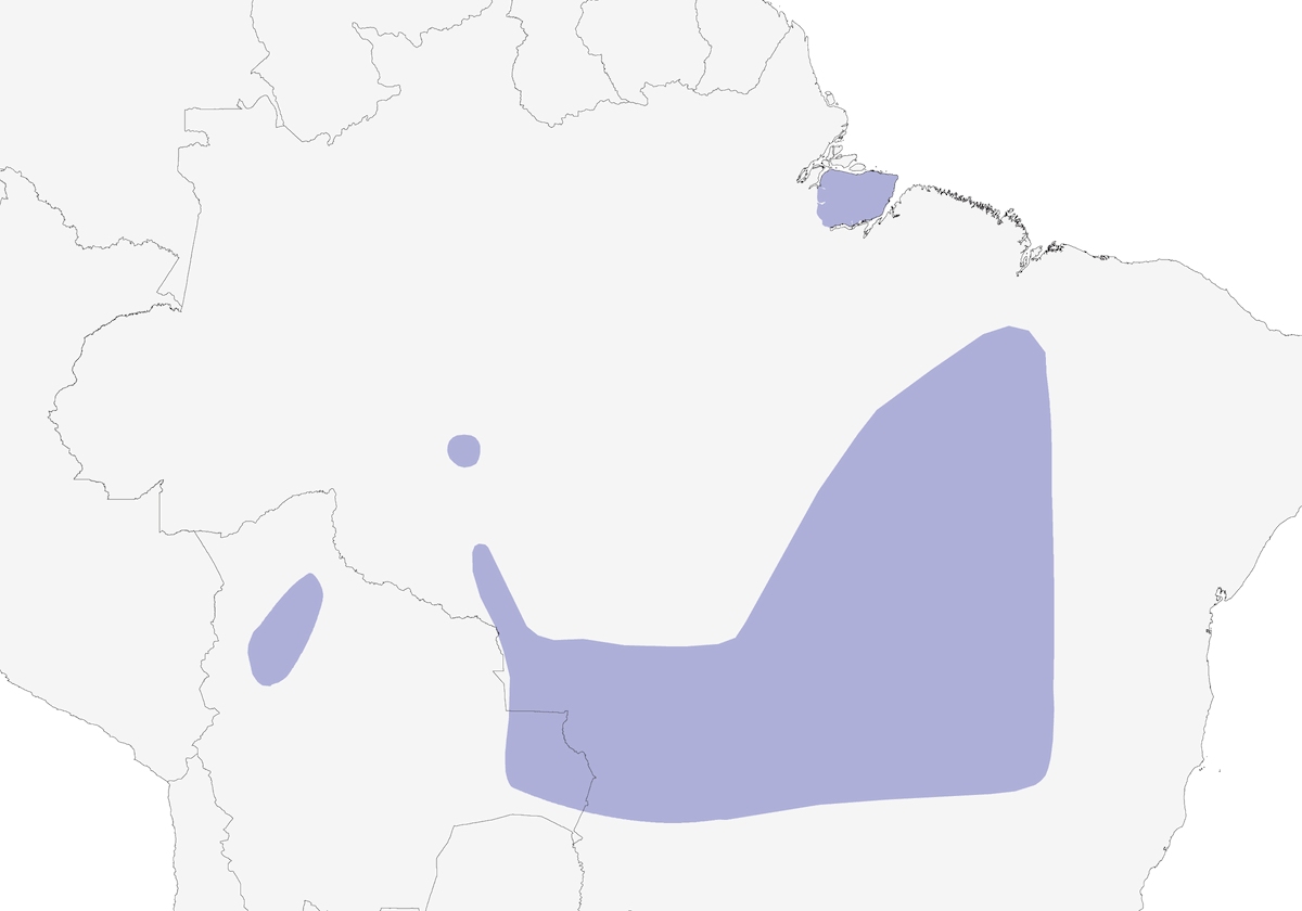 Long-tailed Ground Dove, Distribution 1