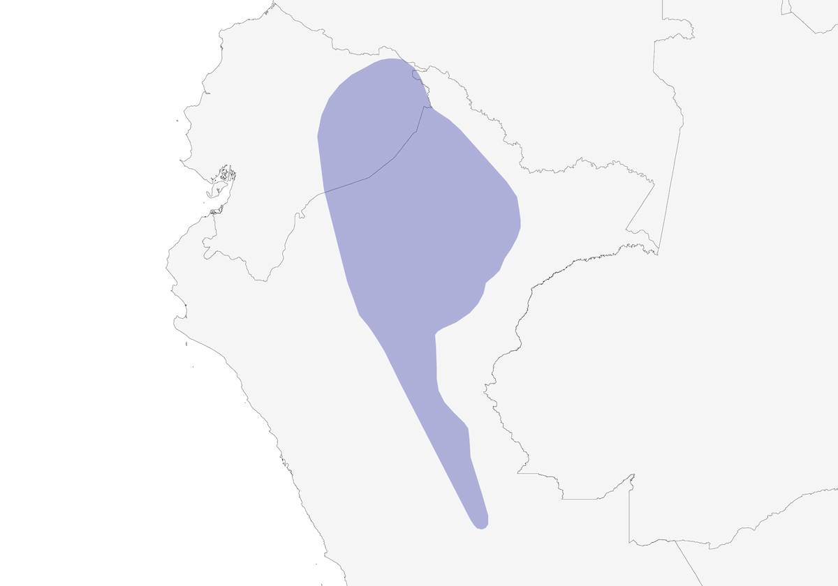 Hormiguero Lunulado, Distribución 1