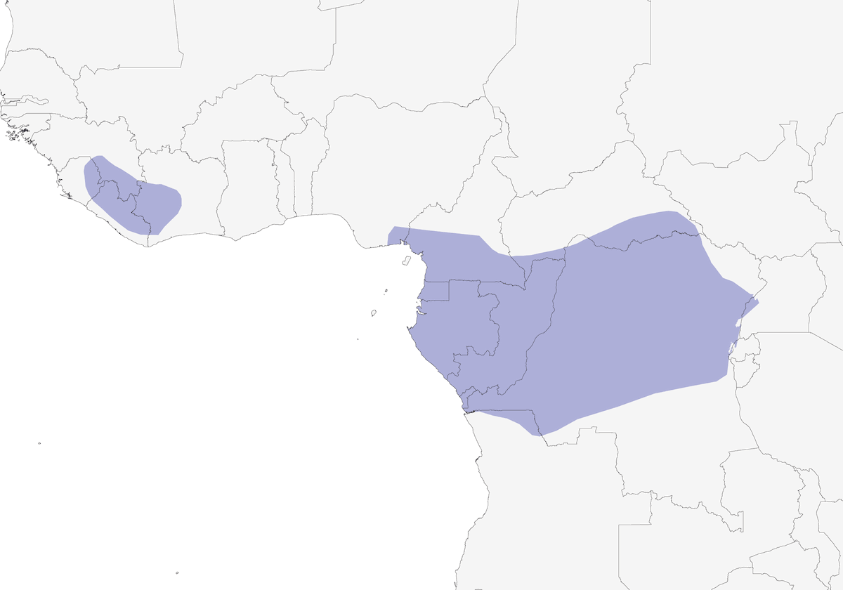 Indicateur lyre, Distribution 1
