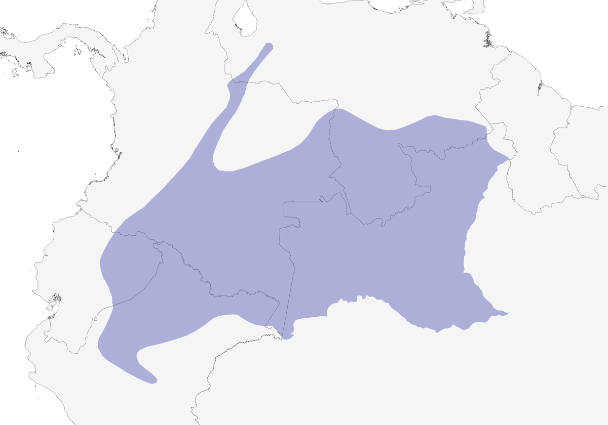 Arasarí multifranjas, Distribución 1