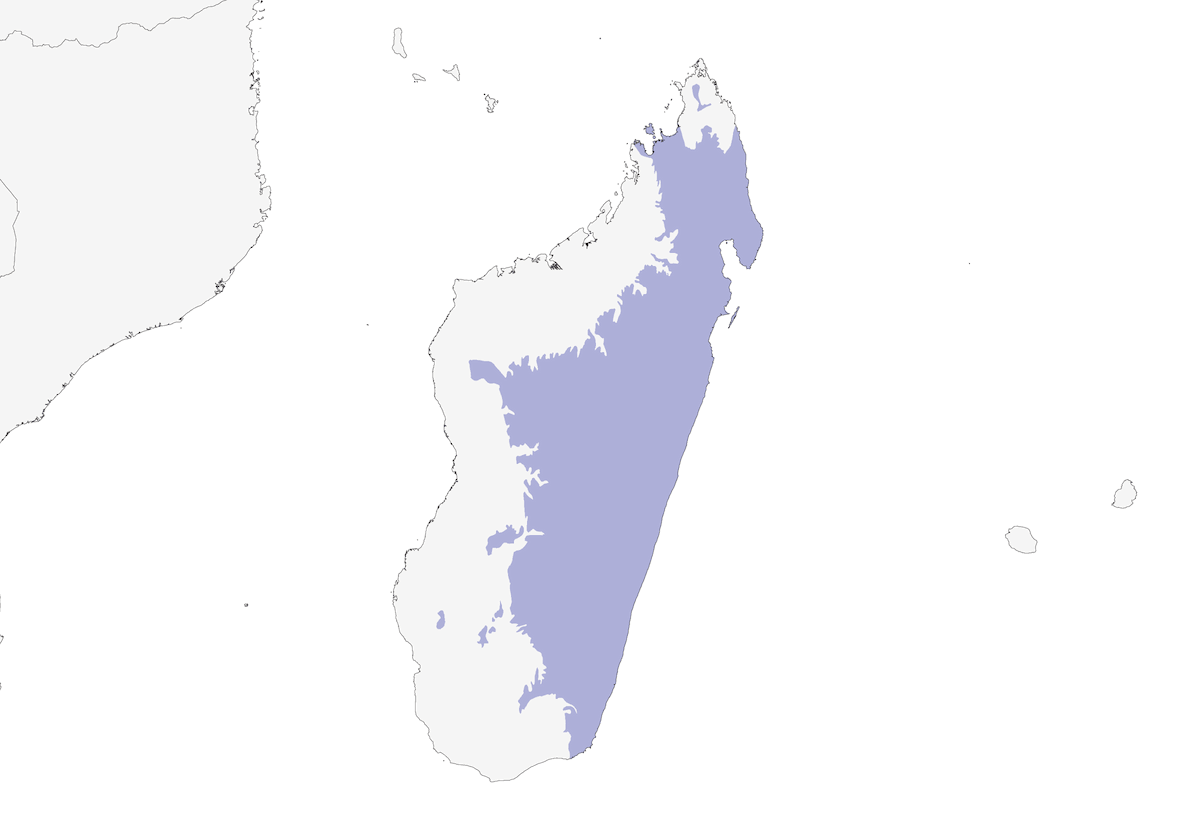 Colombo azzurro del Madagascar, Distribuzione 1