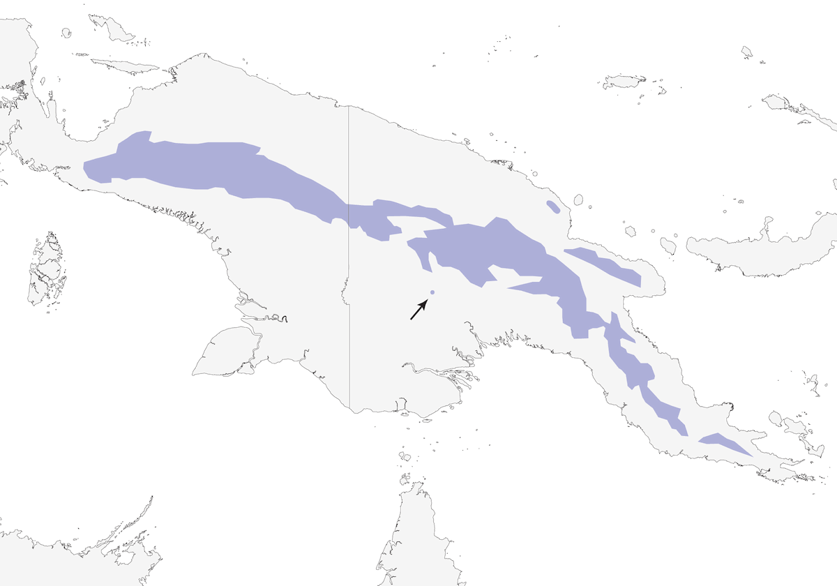 Jardinier de MacGregor, Distribution 1