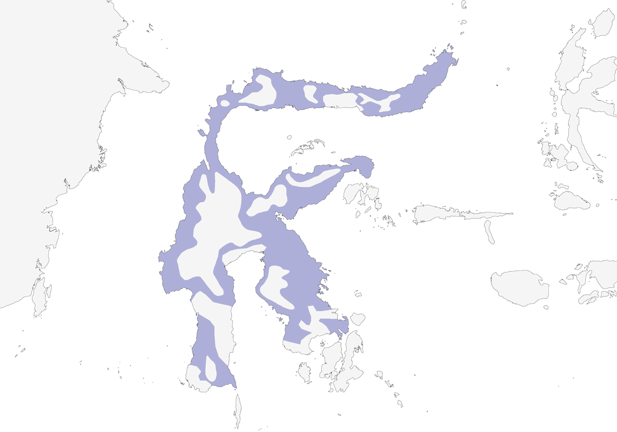 Maroon-chinned Fruit-Dove, Distribution 1