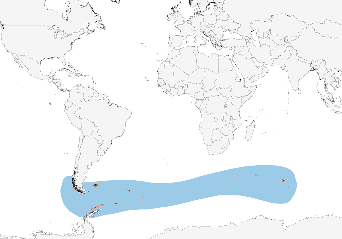 Macaroni Penguin, Distribution 1