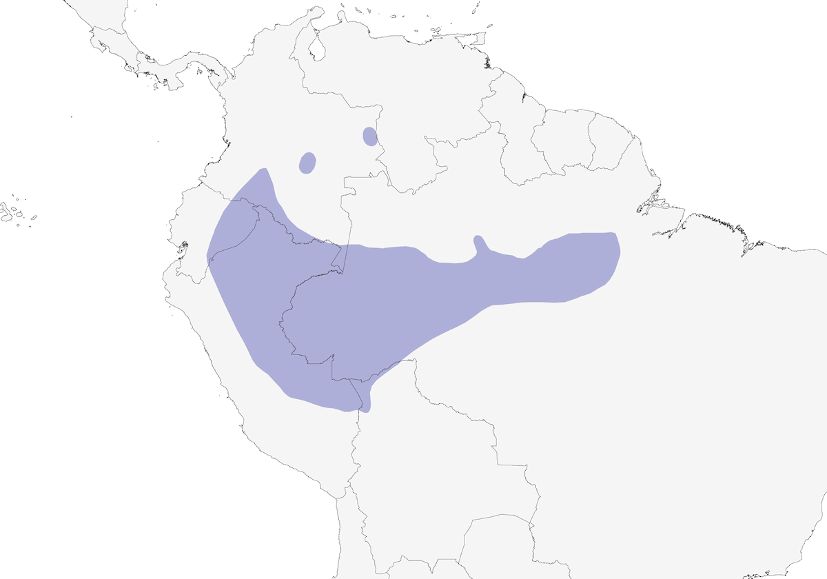 Tangara à gorge noire, Distribution 1