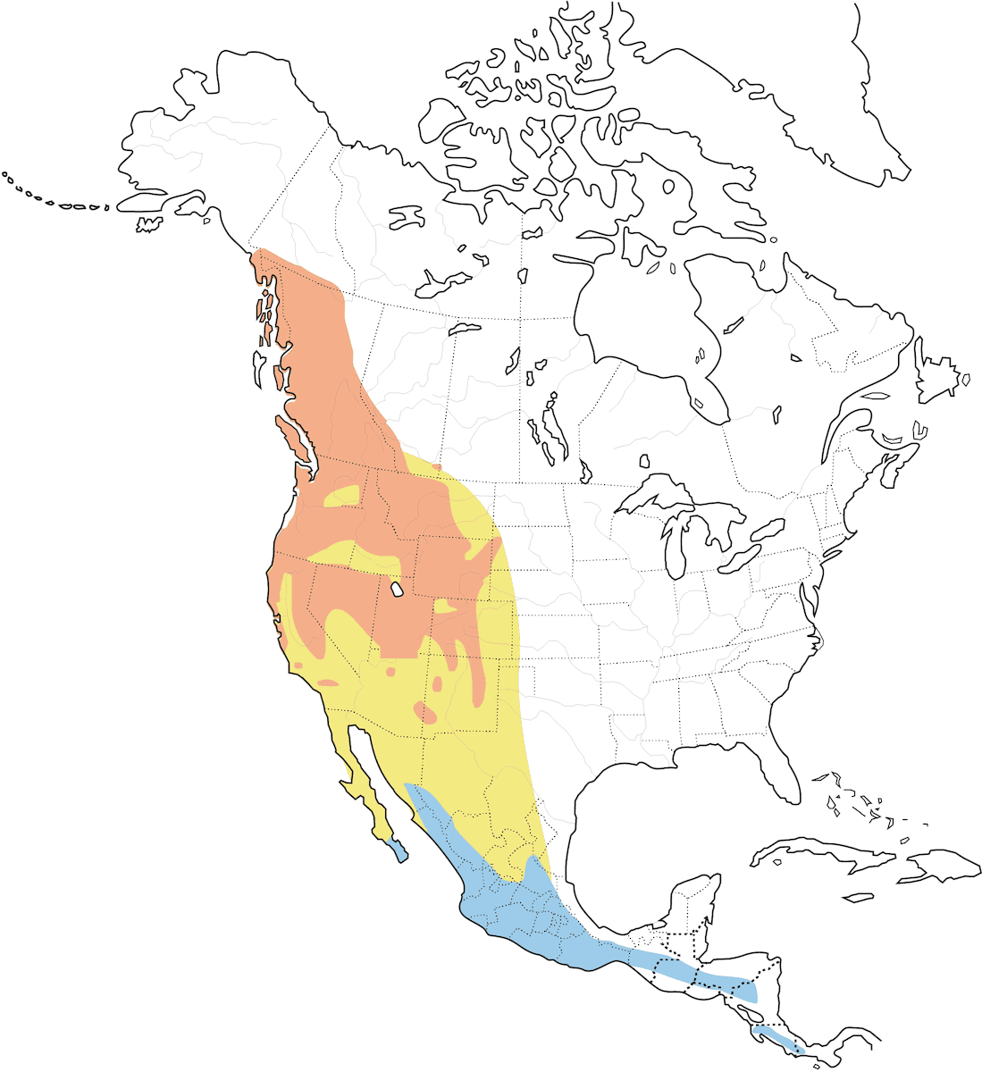 Chipe de MacGillivray, Distribución 1