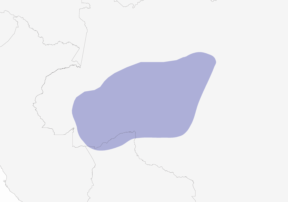 Rio Madeira Stipplethroat, Distribution 1